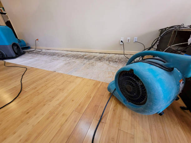 Professional Emergency Water Damage technician working in Le Roy, MN